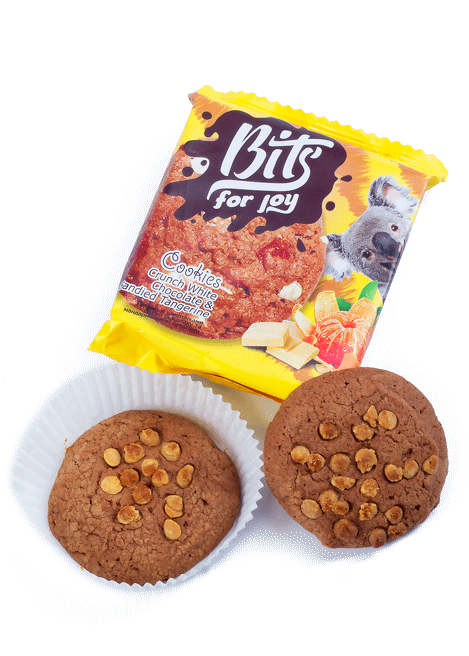 Печенье Bits с кусочками белого шоколада и мандариновыми цукатами 50г