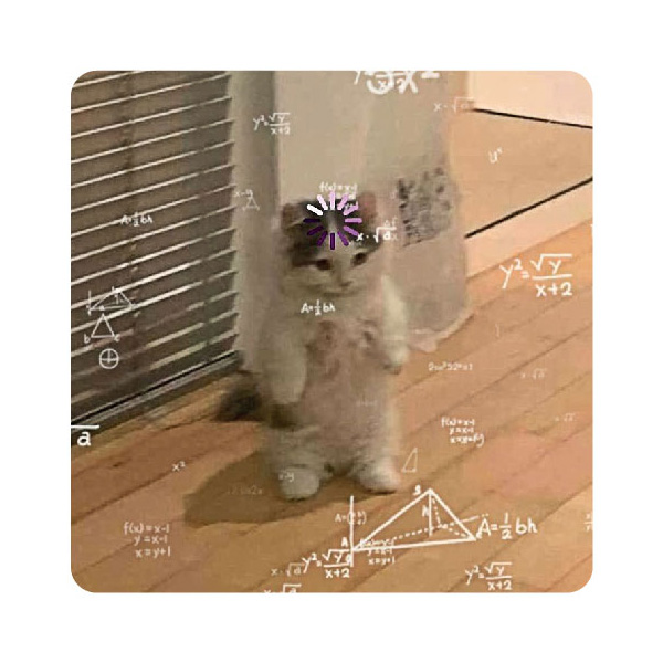 Стикер-наклейка «Котик з формулами»