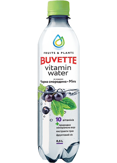 Напій «Buvette Vitamin Water» зі смаком чорної смородини і м'яти 0.5l купити в Hop Hey | Море Пива Напій «Buvette Vitamin Water» зі смаком чорної смородини і м'яти 0.5l