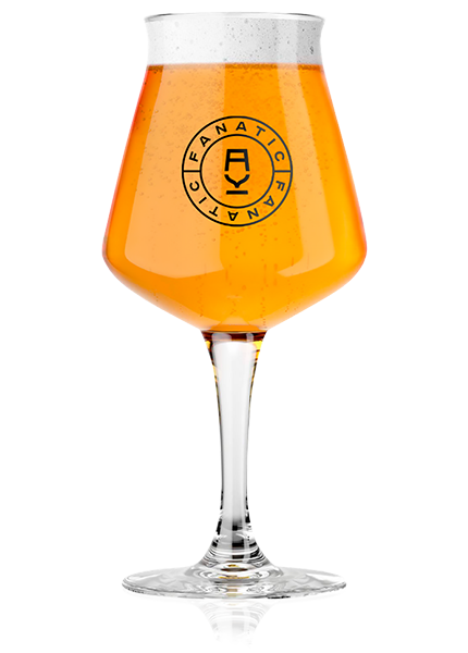 Крафтовое пиво Fanatic IPA VIBES New England IPA