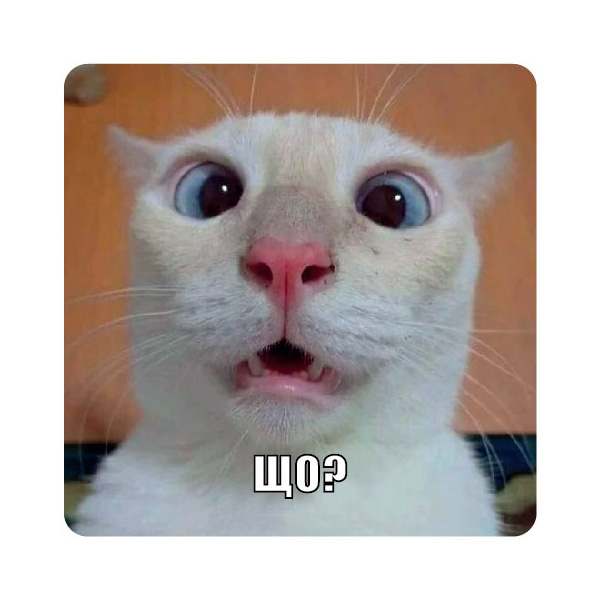 Стикер-наклейка «Що?»