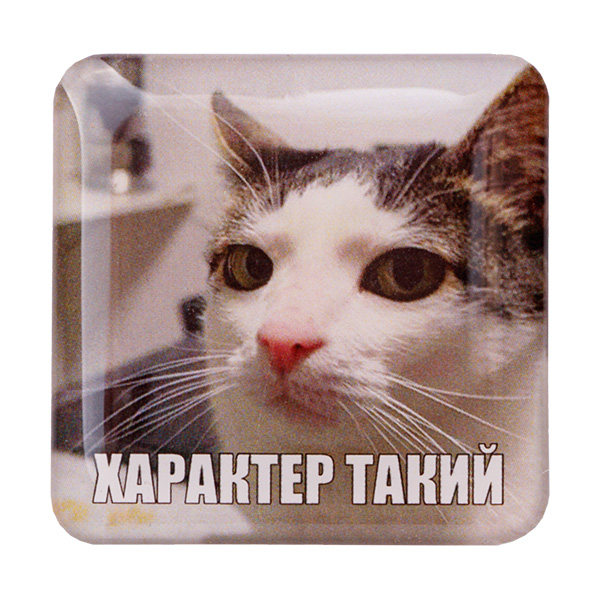 Стикер-наклейка «Характер такий»