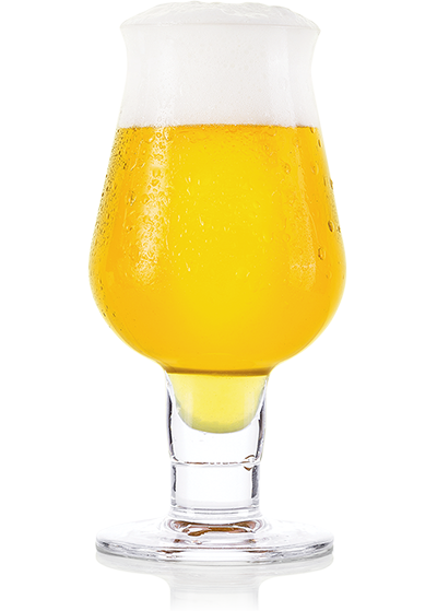 Пиво FDB «Beerphoria» светлое нефильтрованное 5.5°