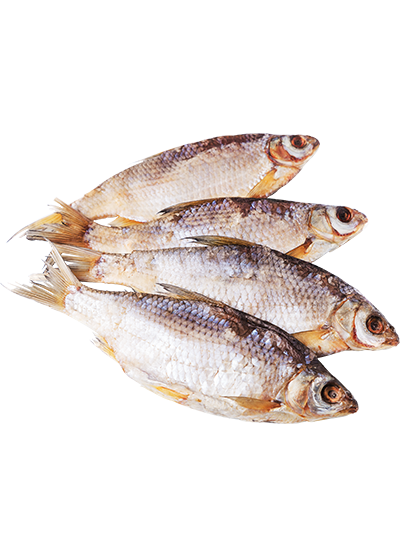 Вобла вяленая купить в Hop Hey | Море Пива Вобла вяленая