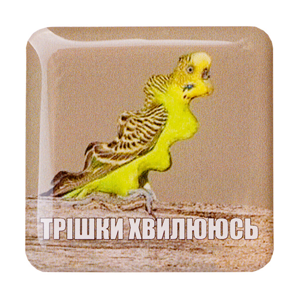 Стикер-наклейка «Трішки Хвилююсь»