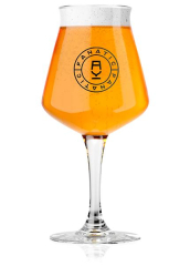 Крафтовое пиво Fanatic IPA VIBES New England IPA
