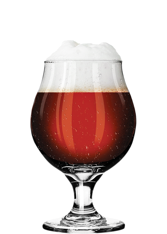 Пиво FDB «Pleasure Black IPA» темное нефильтрованное 6.5°