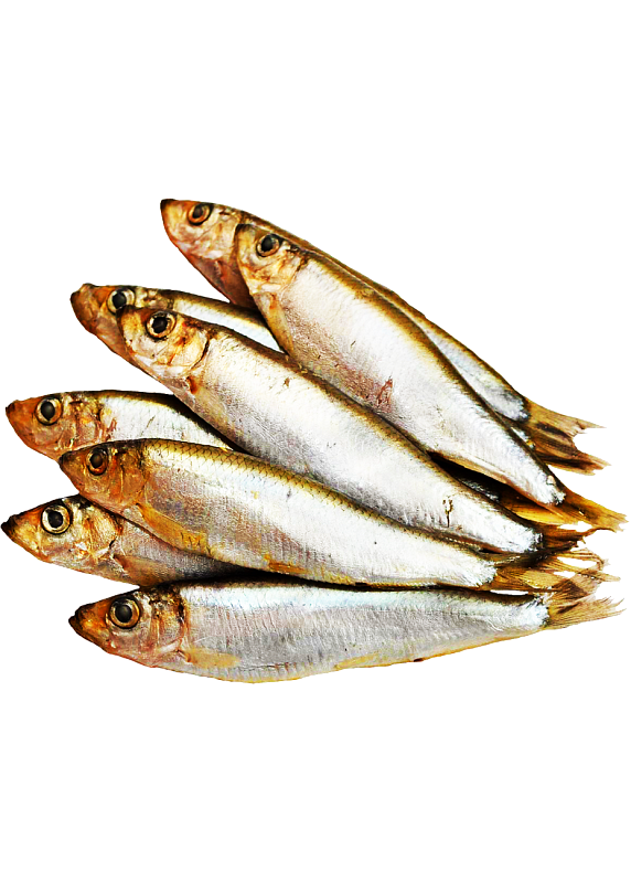 Кілька копчена до пива