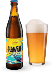 Пиво Forever Hawaii Pineapple Sour Ale 0.5л